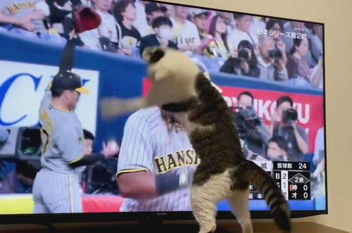 キャッチボールのボールに注目