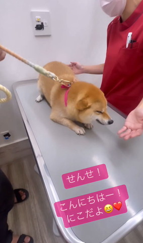 せんせこんにちわテロップ