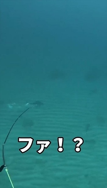 イソマグロが抵抗