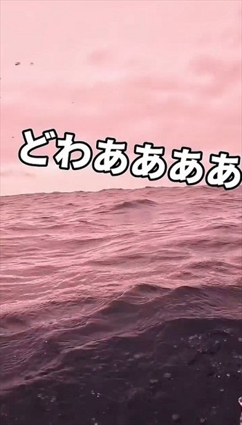 もみくちゃの状態