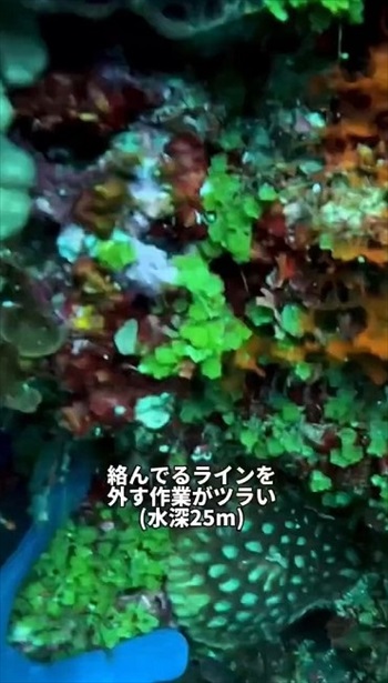 水深25メートル
