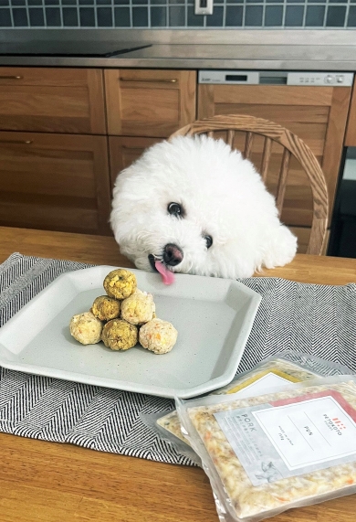 おだんごを前にした犬