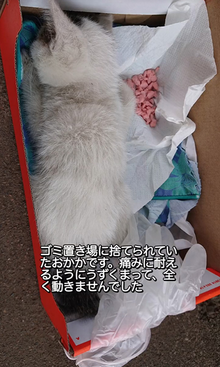 ごみ捨て場に