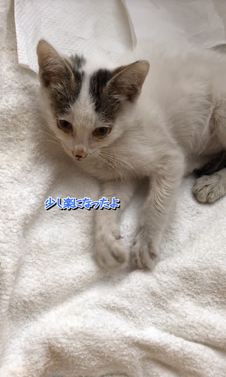 少し楽になったよ