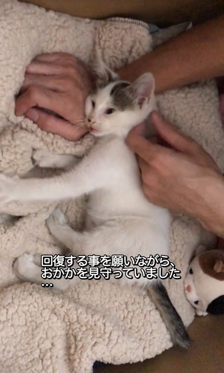 回復すること