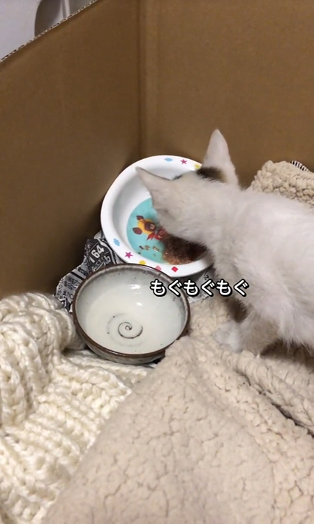 もぐもぐ