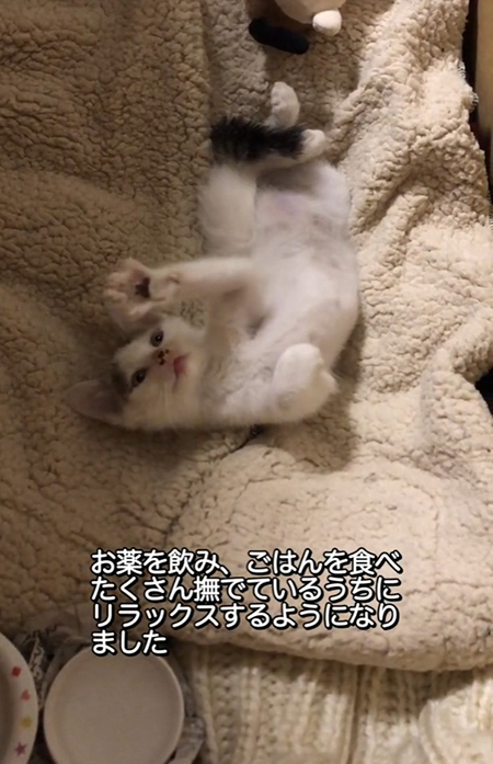 リラックス