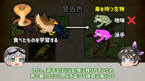 捕食者との関係