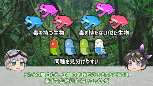 多様性に関する解説