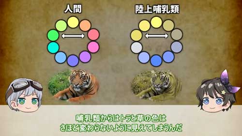 3色型色覚との違い