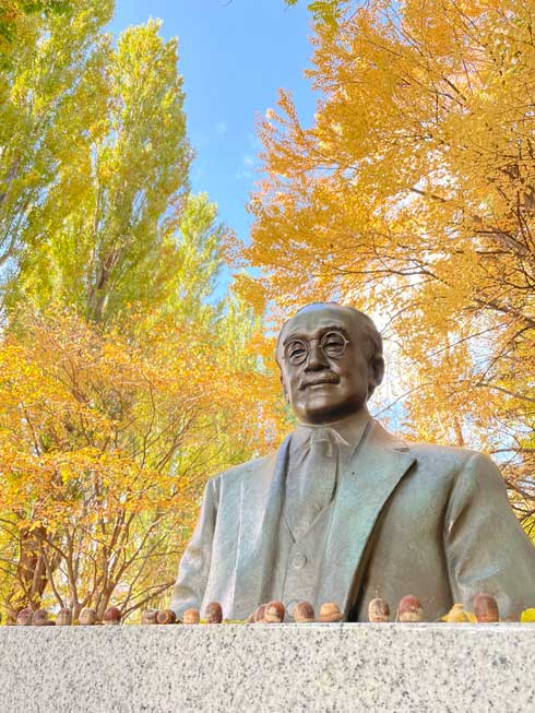 北海道大学 どんぐり屋さん 新渡戸稲造 胸像 銅像
