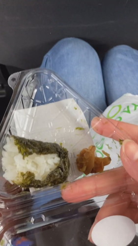 じっと見てくるこたつくん