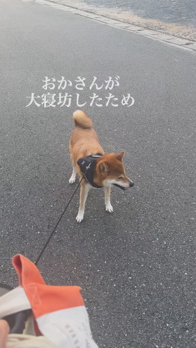 「二度寝は危険」