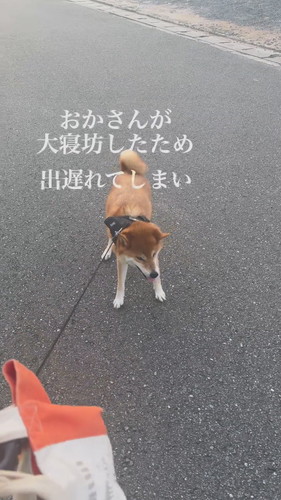 「二度寝は危険」