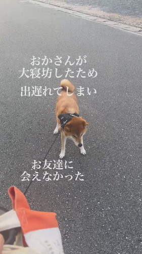 「二度寝は危険」