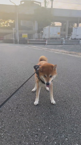 「二度寝は危険」