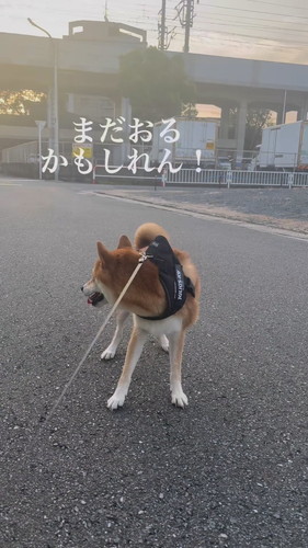 「二度寝は危険」
