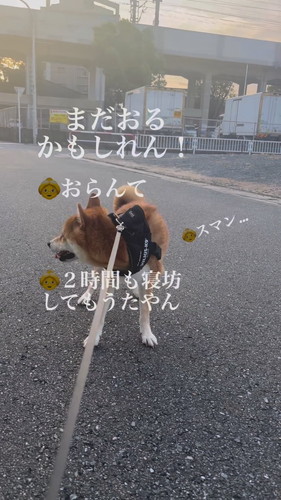 「二度寝は危険」