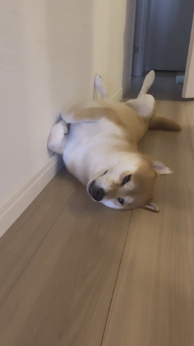 けいちゃん