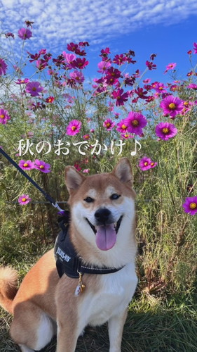 けいちゃん