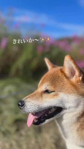 けいちゃん
