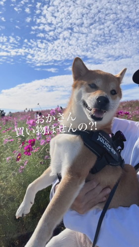 けいちゃん