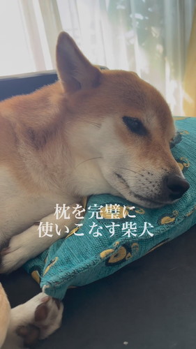けいちゃん