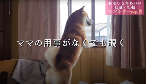 ママの用事がなくてものぞく