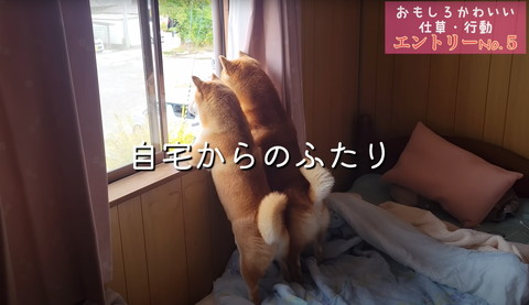 自宅からのふたり