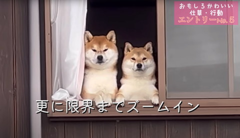 さらに限界までズームイン