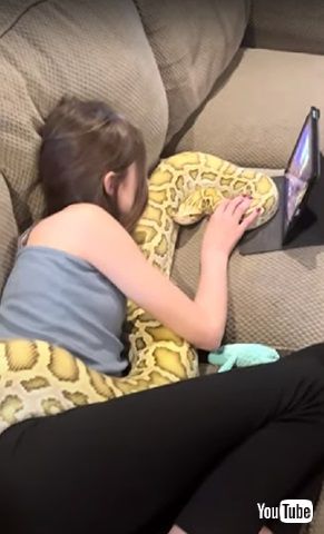 ヘビと少女リラックス