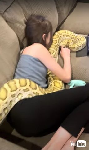 ヘビの体にさわる少女