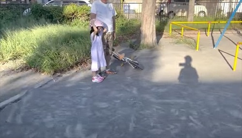 自転車練習する娘ちゃんを心配する柴犬