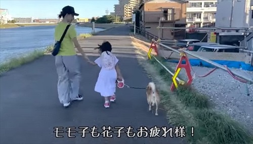 自転車練習する娘ちゃんを心配する柴犬