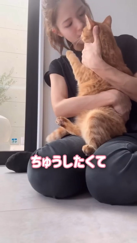 ママに甘える猫