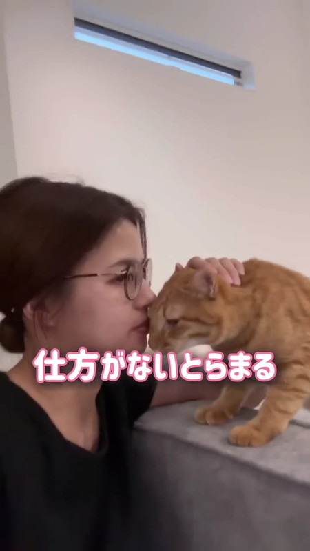 ママが大好きな猫