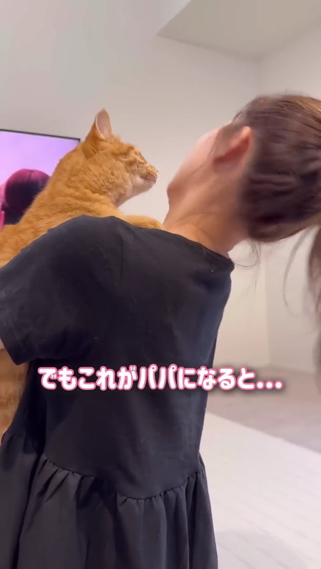 ママに甘える猫