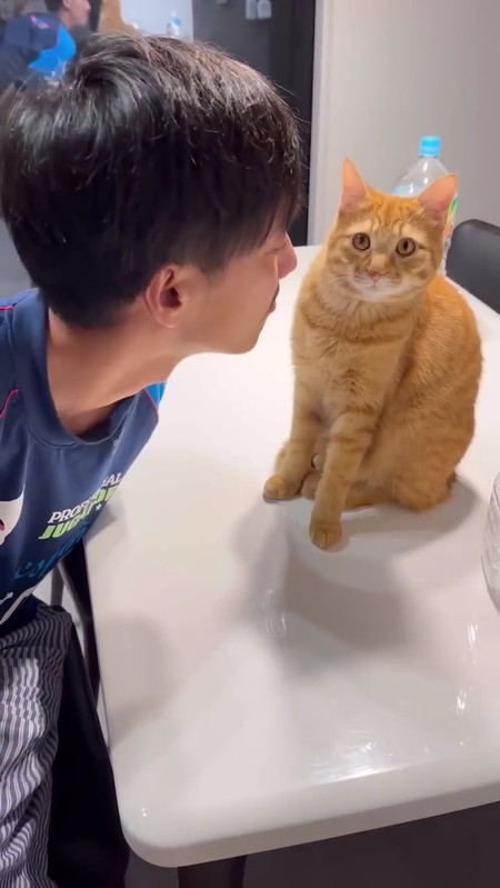 猫に顔を近づけるパパ