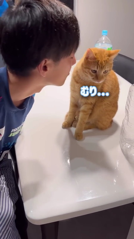 猫の顔をあげようとするパパ