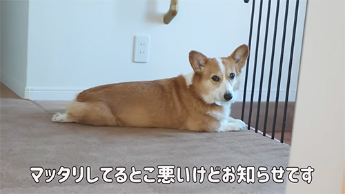 まったりしてるところ悪いけど