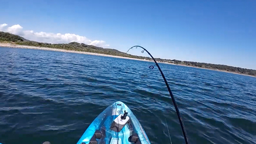 大物に逃げられた投稿者