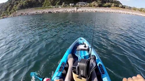 急いで岸へ向かう様子