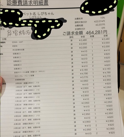 猫の医療費、こんなにかかる 