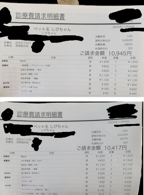 猫の医療費、こんなにかかる 