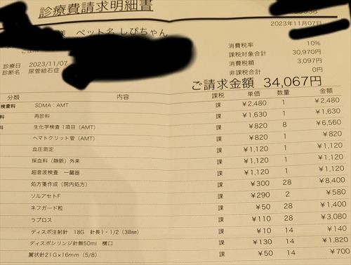 猫の医療費、こんなにかかる 