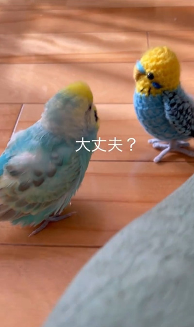 おすすめ