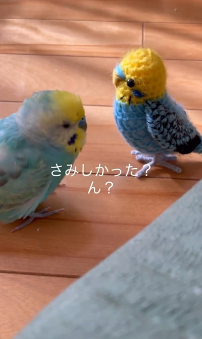 さみしかった？