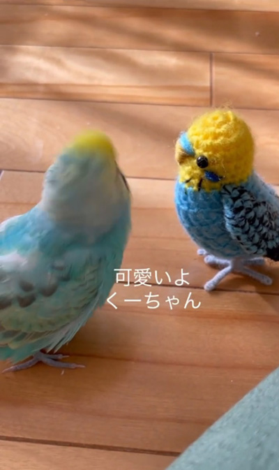 くーちゃんかわいい