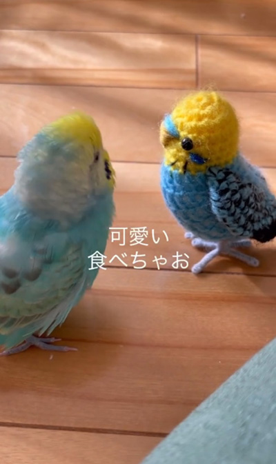 かわいい食べちゃう