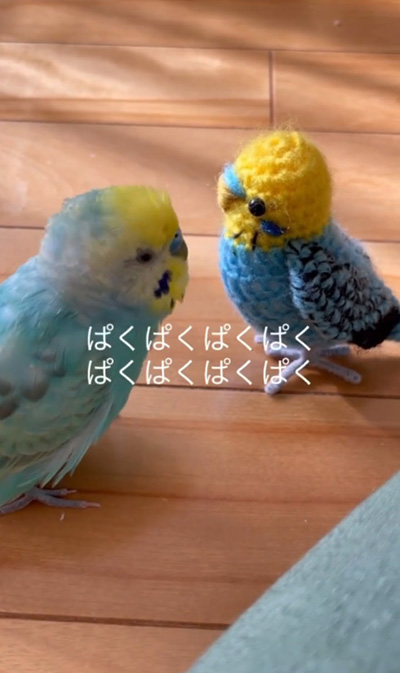 ぱくぱくぱくぱく